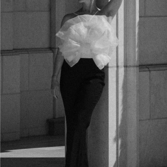 Zara organza bodysuit - Picture 4 of 9